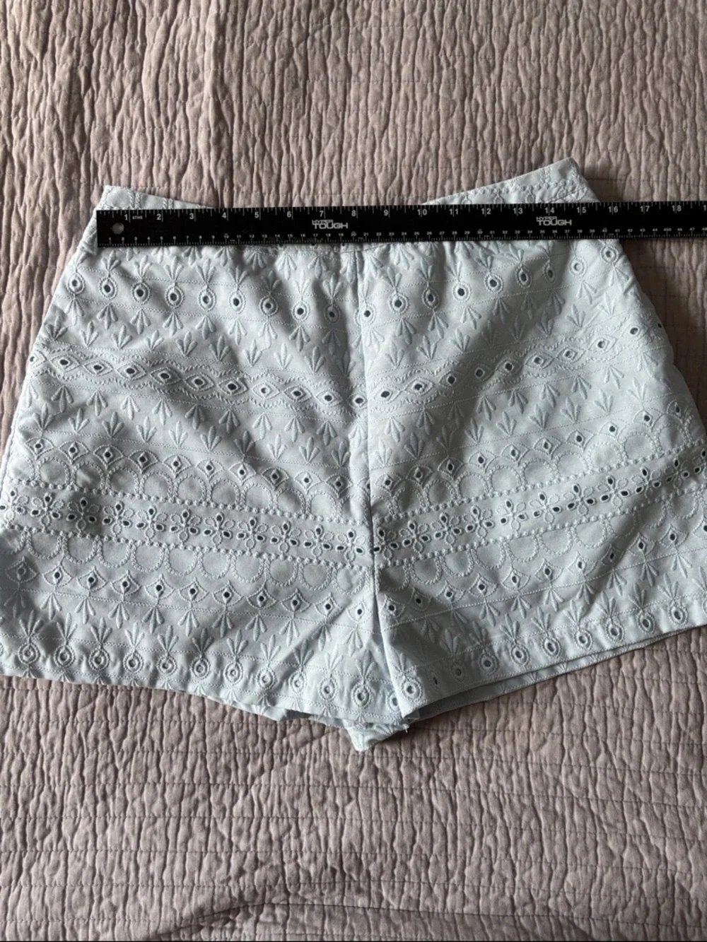 Blue Rain by Francesca's Light Blue Eyelet Lace Shorts - Large